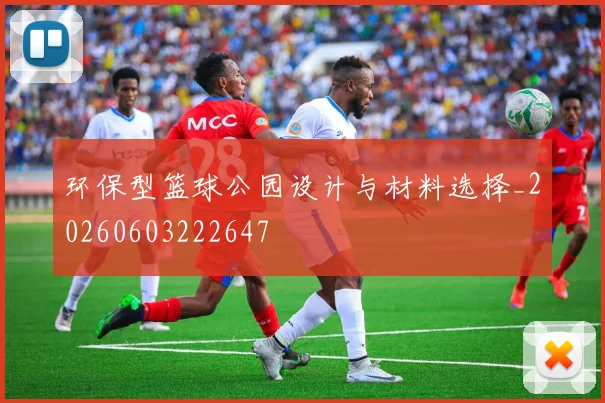 环保型篮球公园设计与材料选择_20260603222647